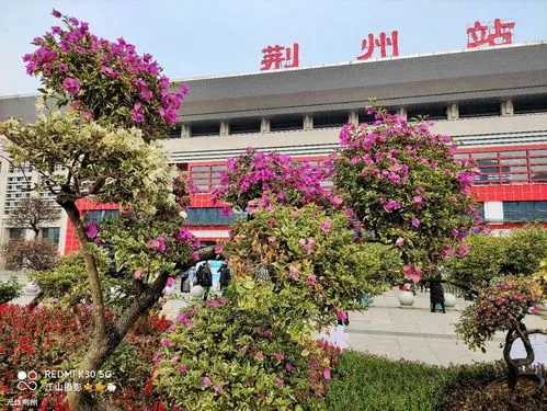 合肥到荊州物流專(zhuān)線(xiàn)|合肥到荊州貨運搬家搬廠(chǎng)