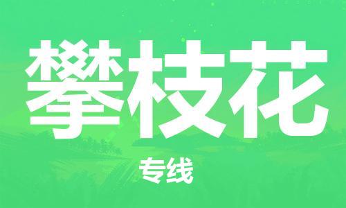 合肥到攀枝花物流專(zhuān)線(xiàn)-合肥至攀枝花貨運-價(jià)格透明，服務(wù)周